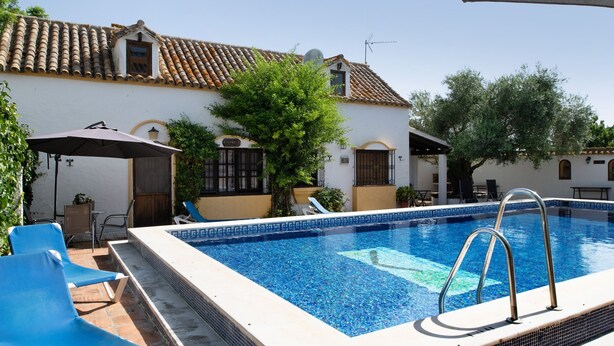 A swimming pool with a tiled edge, a ladder, and blue lounge chairs.