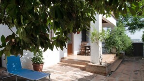 An outdoor patio with a blue chair, a potted plant, and a small tree.