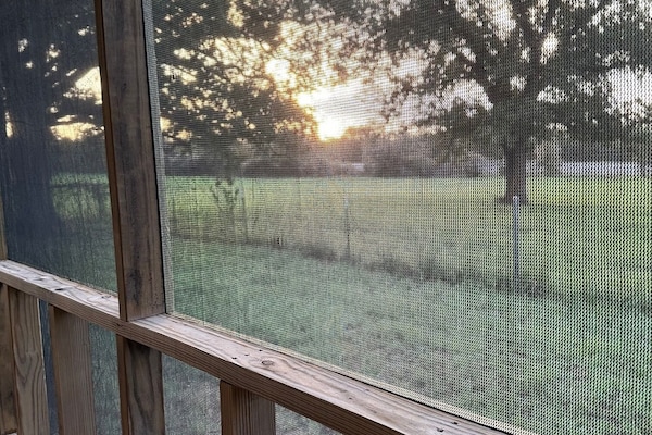 Área da propriedade