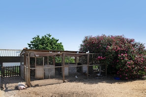 A rustic outdoor chicken coop with a wire fence, a wooden shelter, and a pink flowering bush. - Holiday Home 'Casa El Pino' with Shared Pool, Wi-Fi and Air Conditioning (Barbate)
