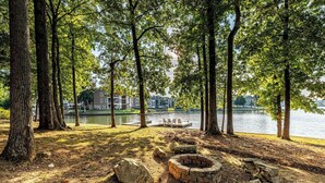 Un parco con un braciere, alberi e vista sul lago.