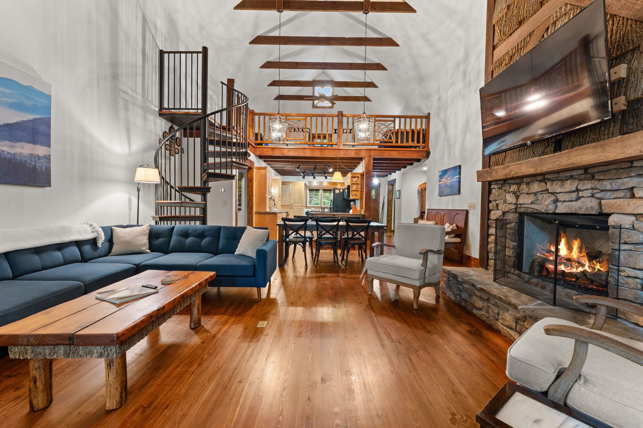Smart TV, fireplace, books