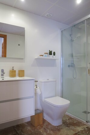 Shower, hair dryer, towels