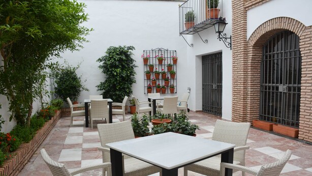 A patio with a checkered floor, wicker furniture, potted plants, and a brick wall. - Apartment 'Loft' with Shared Terrace, Wi-Fi and Air Conditioning (Córdoba)