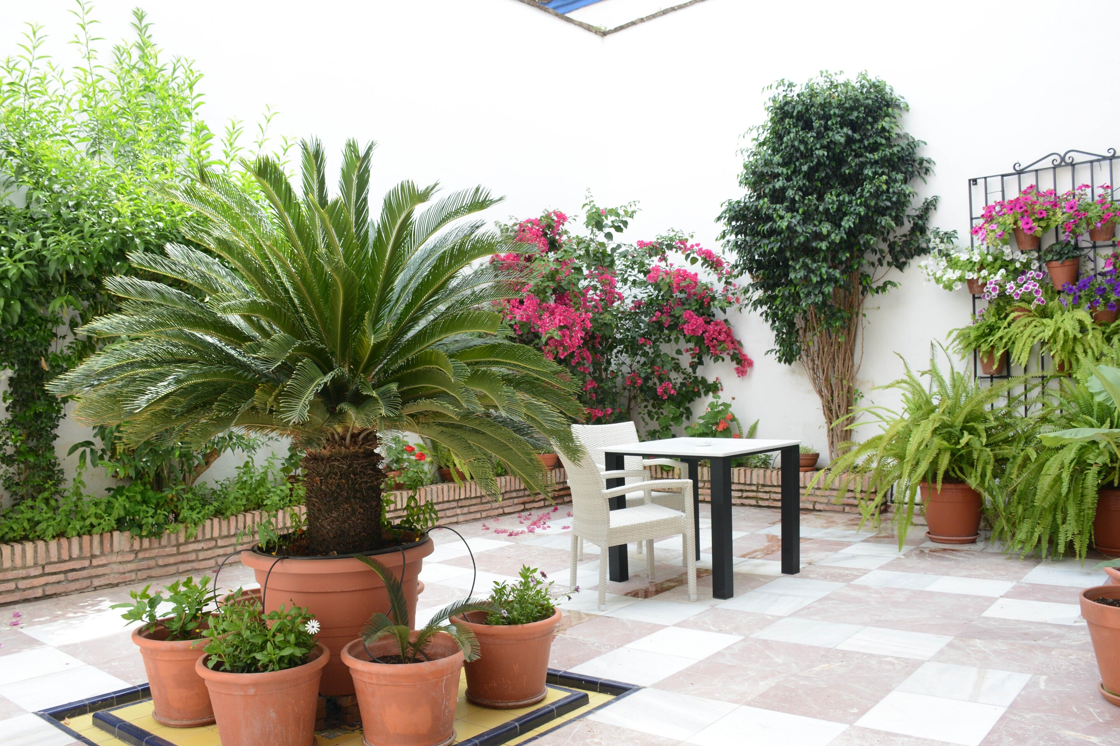 A patio with potted plants, a white chair, and a table.