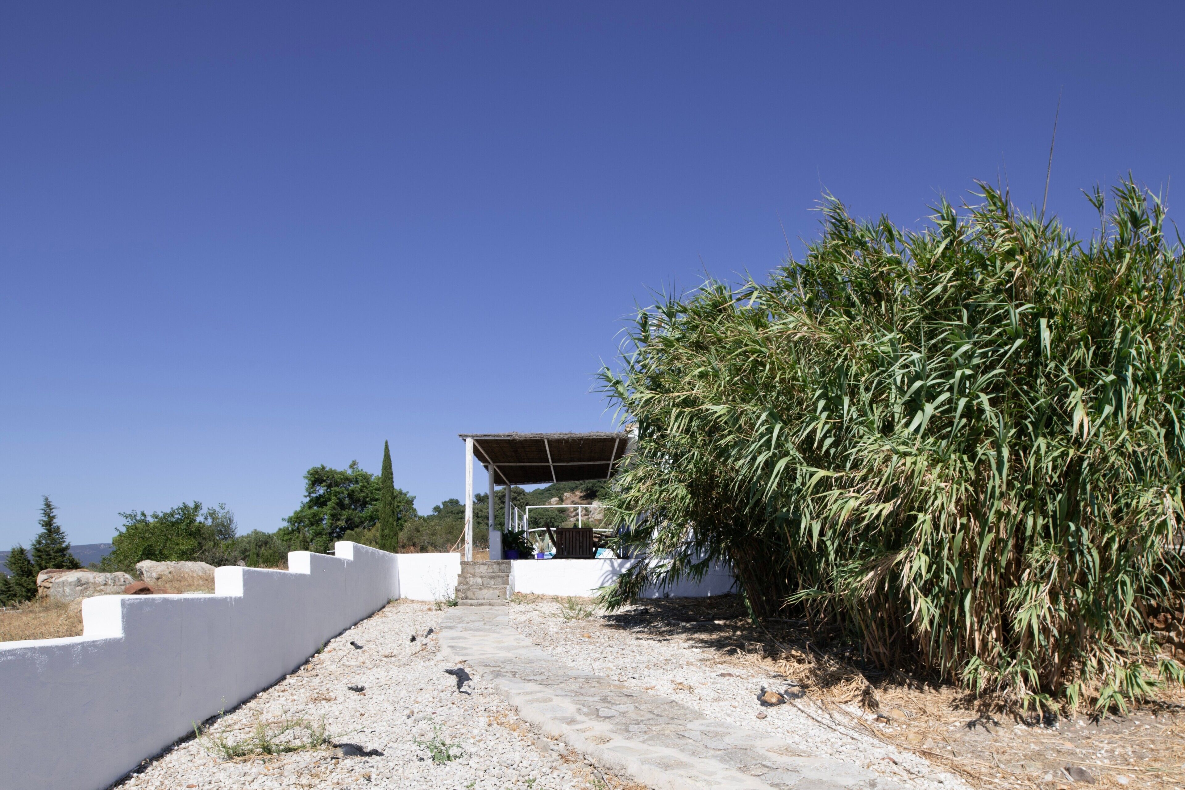 Un sentier mène à un espace extérieur abrité, avec un mur blanc d’un côté et un buisson touffu de l’autre.