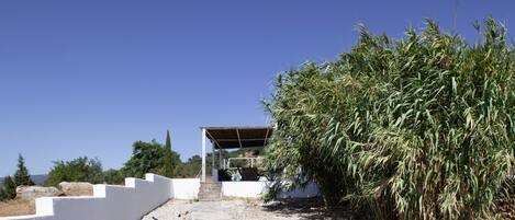 Un sentier mène à un espace extérieur abrité, avec un mur blanc d’un côté et un buisson touffu de l’autre.