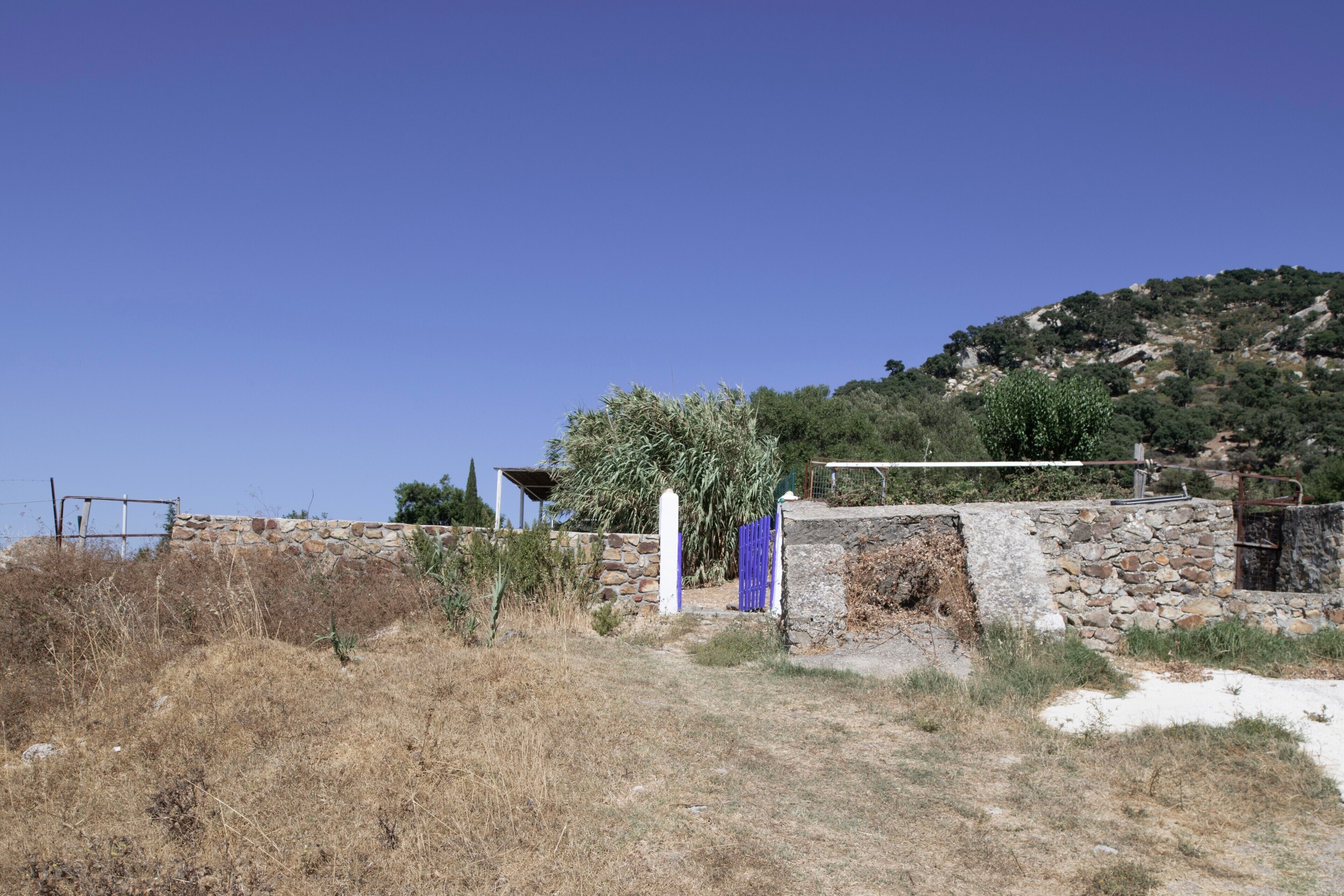 A rural landscape with a stone wall, a blue gate, and a clear blue sky.