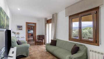 Een televisie, een dvd-speler en een tafeltennistafel