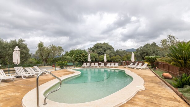 A swimming pool with a curved edge, surrounded by white lounge chairs and umbrellas, with trees and a fence in the background.