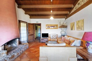 تلفزيون، مدفأة، مشغل دي في دي