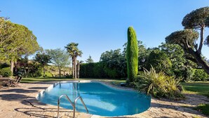 Une piscine dotée d’une plage en pierre, entourée de différents arbres et de plantes.