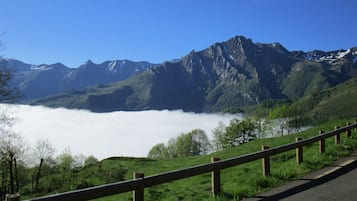 Overig