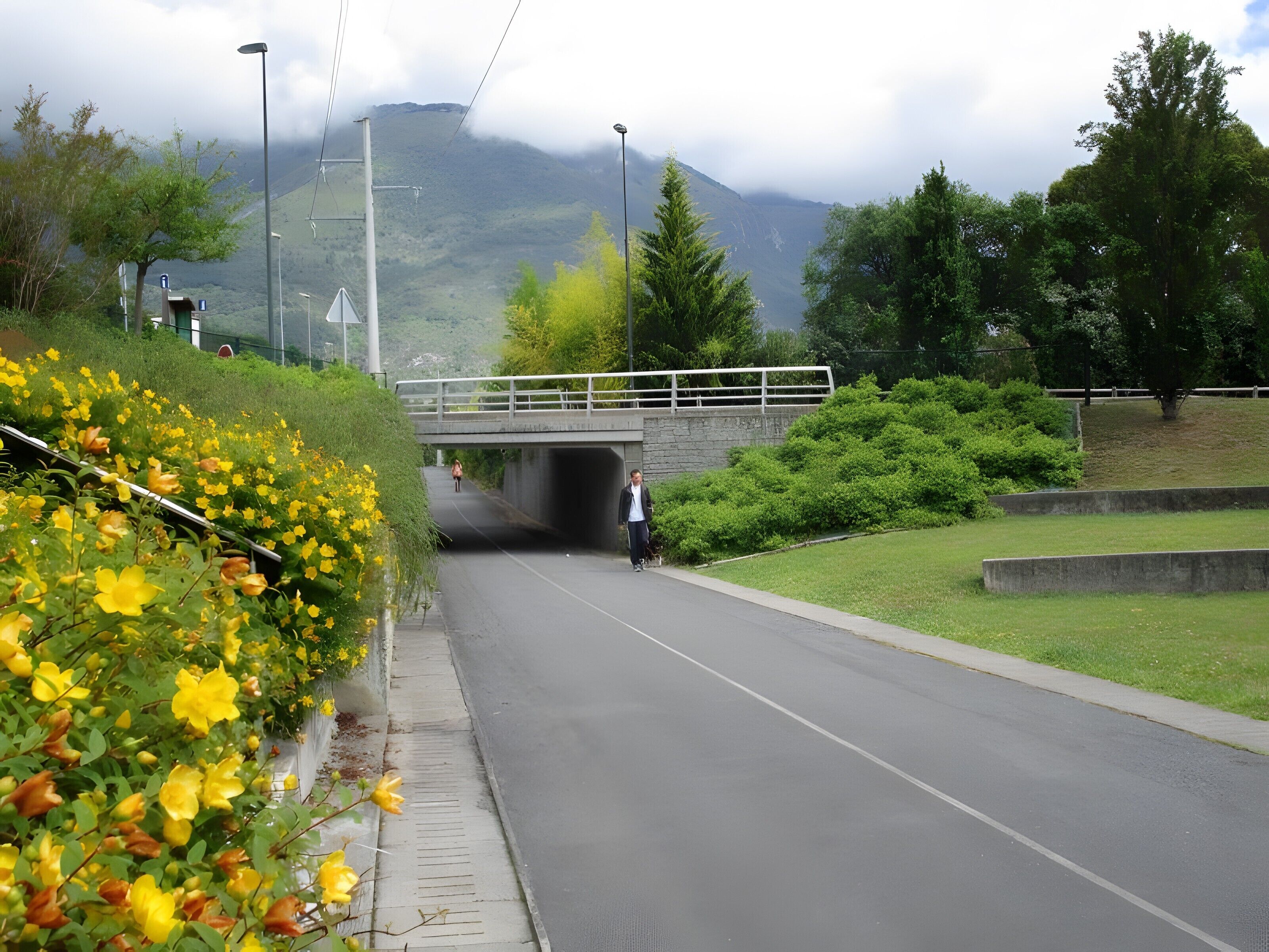 A road under a bridge with greenery and a mountain in the background.