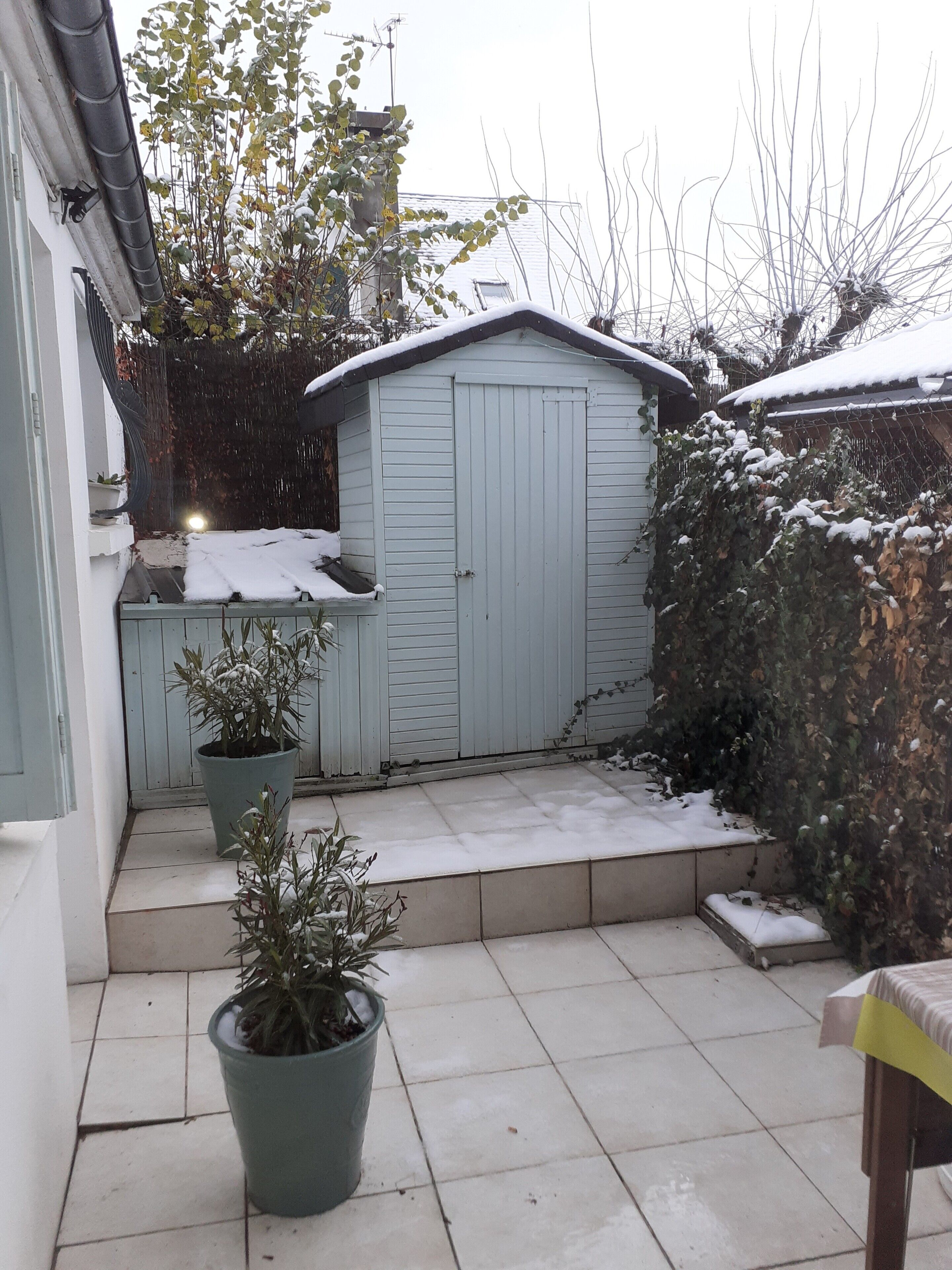 Un patio abrité avec un abri de jardin, des plantes en pot et un sol recouvert de neige.