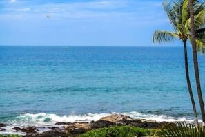 Beach - Exceptional Kona Reef Condo: Full AC & Oceanfront (Kailua-Kona)