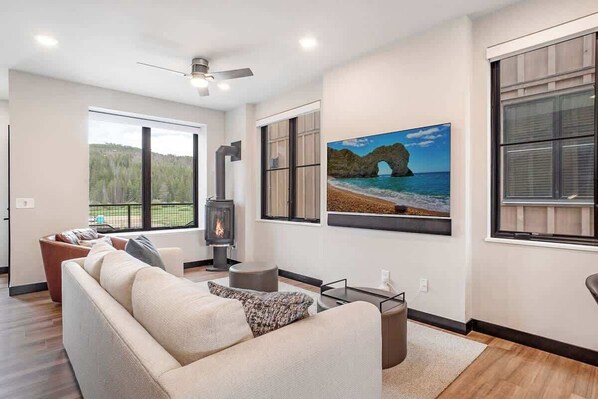 Televisión, chimenea, libros y estéreo 