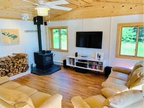 Smart TV, DVD player, music library, video library