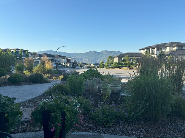 Property grounds - Briefly Yours while exploring all West Kelowna has to offer! (West Kelowna)