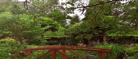 House | View from property
