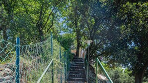 Un escalier en pierre avec des rampes métalliques menant à un niveau sup érieur, entouré d’arbres et de verdure.