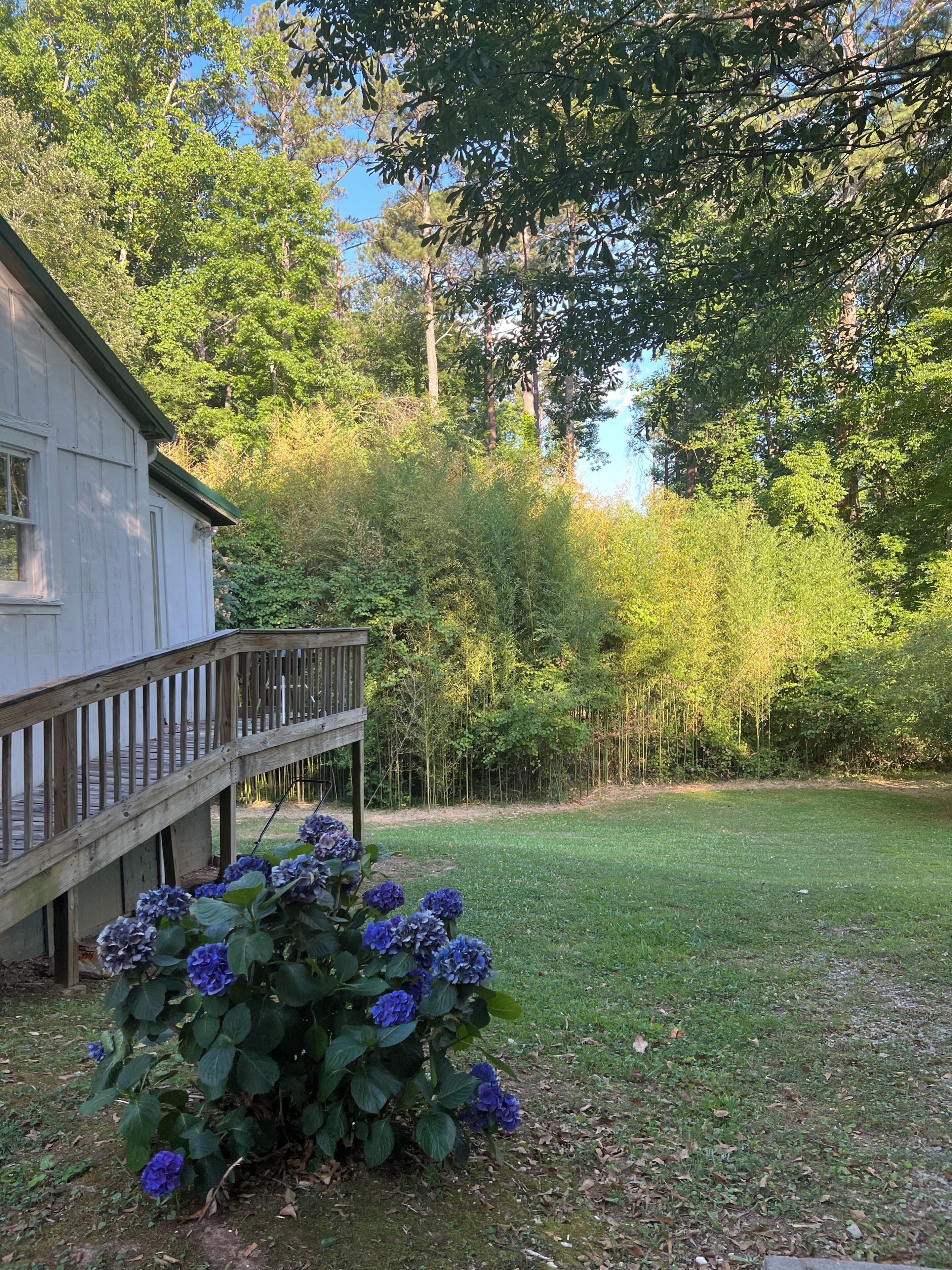 Una casa con una veranda in legno e un giardino con cespi di ortensie.
