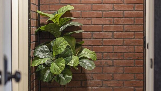 A narrow hallway with a brick wall, a potted plant, and wooden flooring. - 1 bed 1 bath | Quiet neighborhood (Sioux Falls)