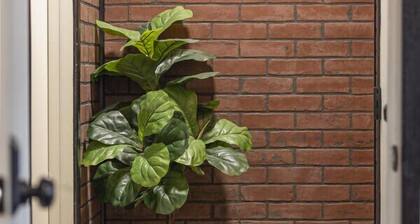 1 bed 1 bath | Quiet neighborhood