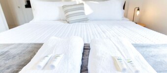 Downtown Landing | King bed | Pet Friendly