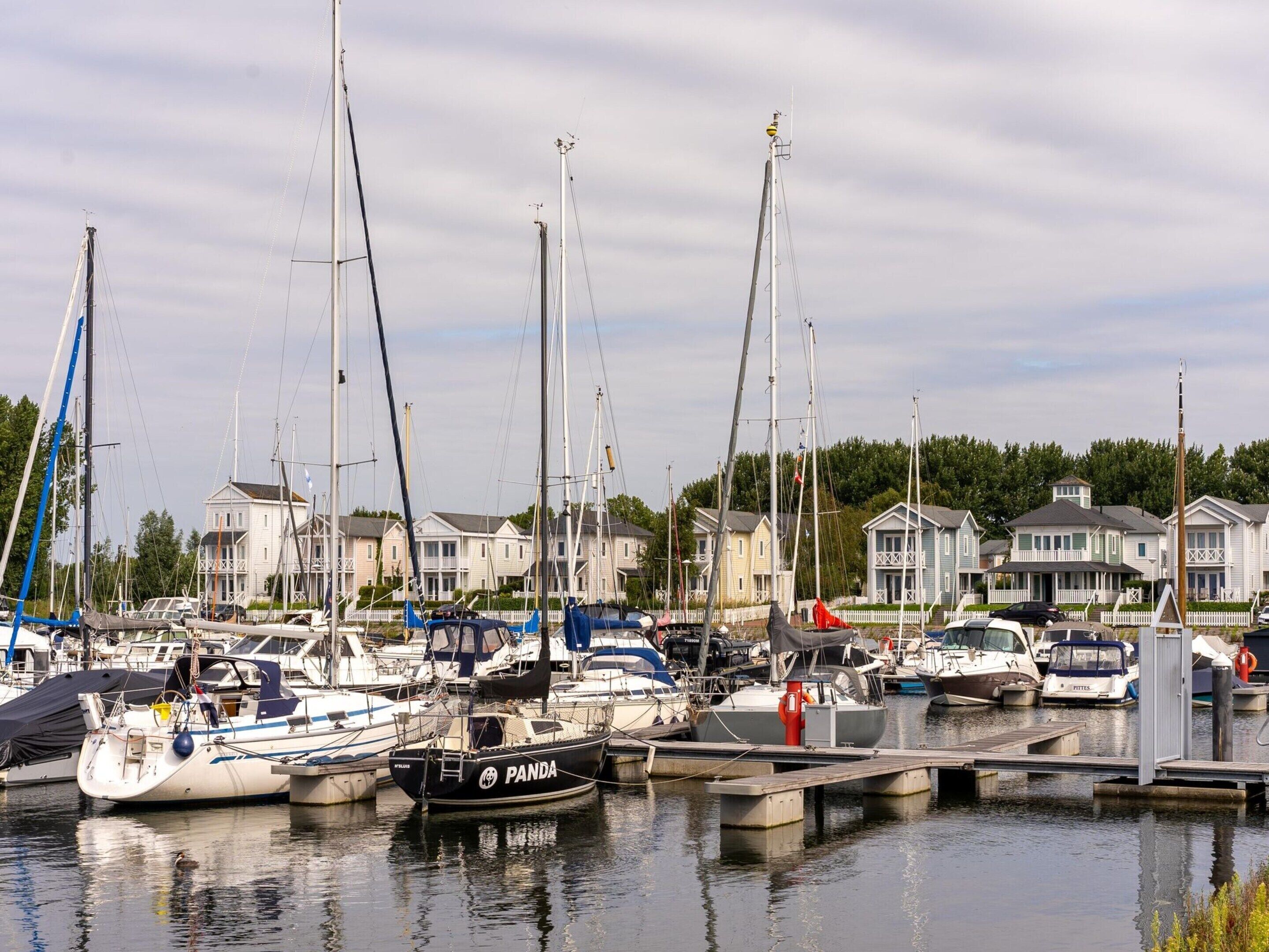 A marina with multiple sailboats docked, surrounded by residential houses.