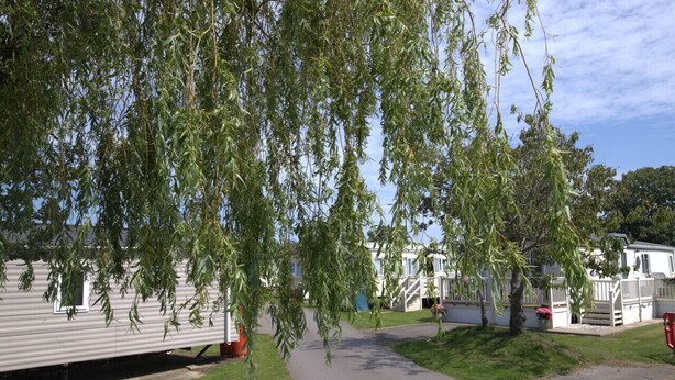 A row of mobile homes with a paved walkway in between. - WR2 Marlie Holiday Park (Kent)