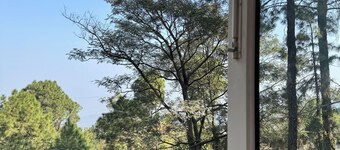 Amritara Kasauli kollections