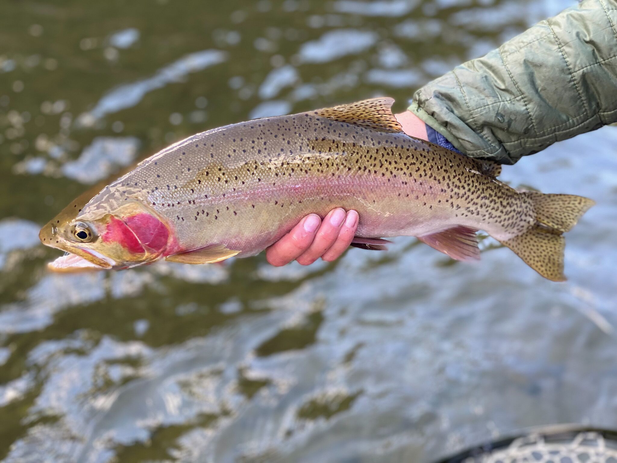 Angler's Paradise! Newly remodeled pet-friendly, riverfront home.