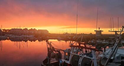 Location Studio Centre Ville, Animaux de Compagnie Acceptés