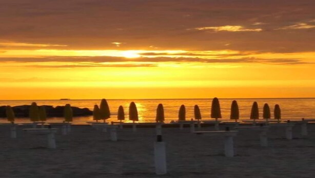 A beach with a sunset, rows of trees, and a calm sea.