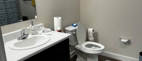 Hårtørrer, bidet, håndklæder, Sæbe