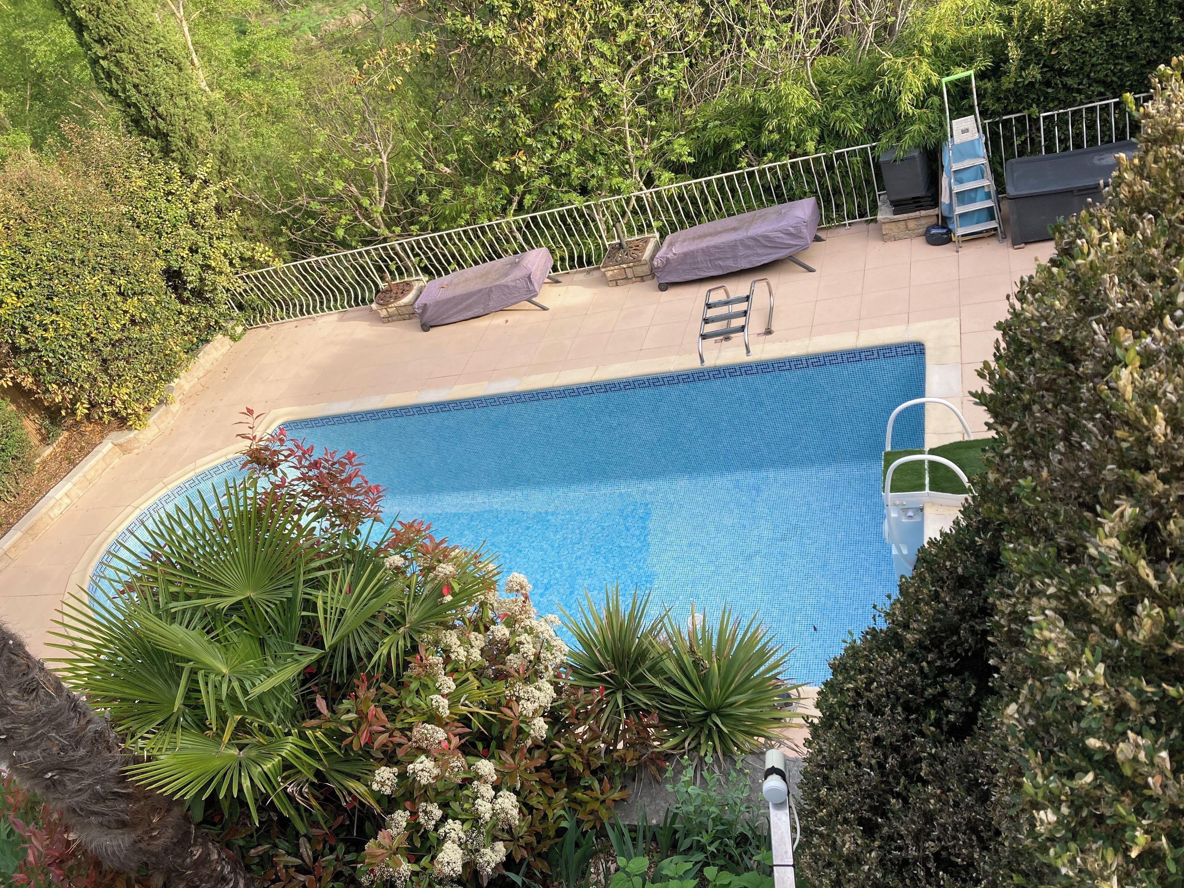 Une piscine entourée de verdure, avec une clôture en métal et des chaises longues.