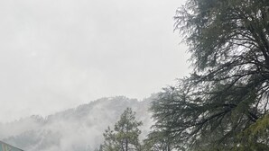 A building with a red and white facade, a covered outdoor area with chairs, and a mountainous backdrop. - Woodward Magique kasol (Bhuntar)