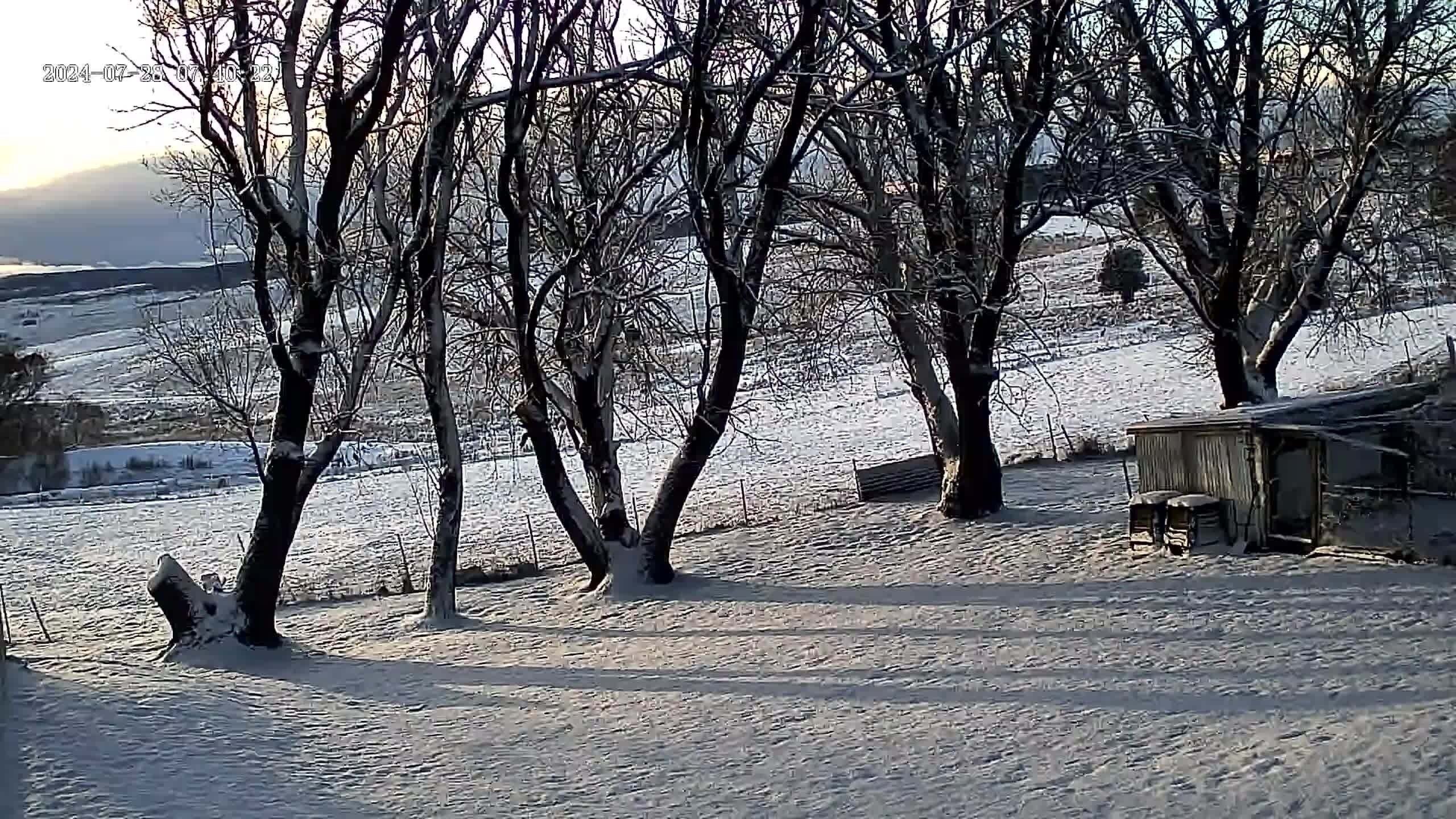 Un paysage enneigé avec des arbres sans feuilles et une petite construction en bois.