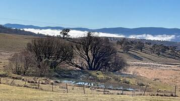 A rural landscape with a clear sky, a large tree, and rolling hills in the background.