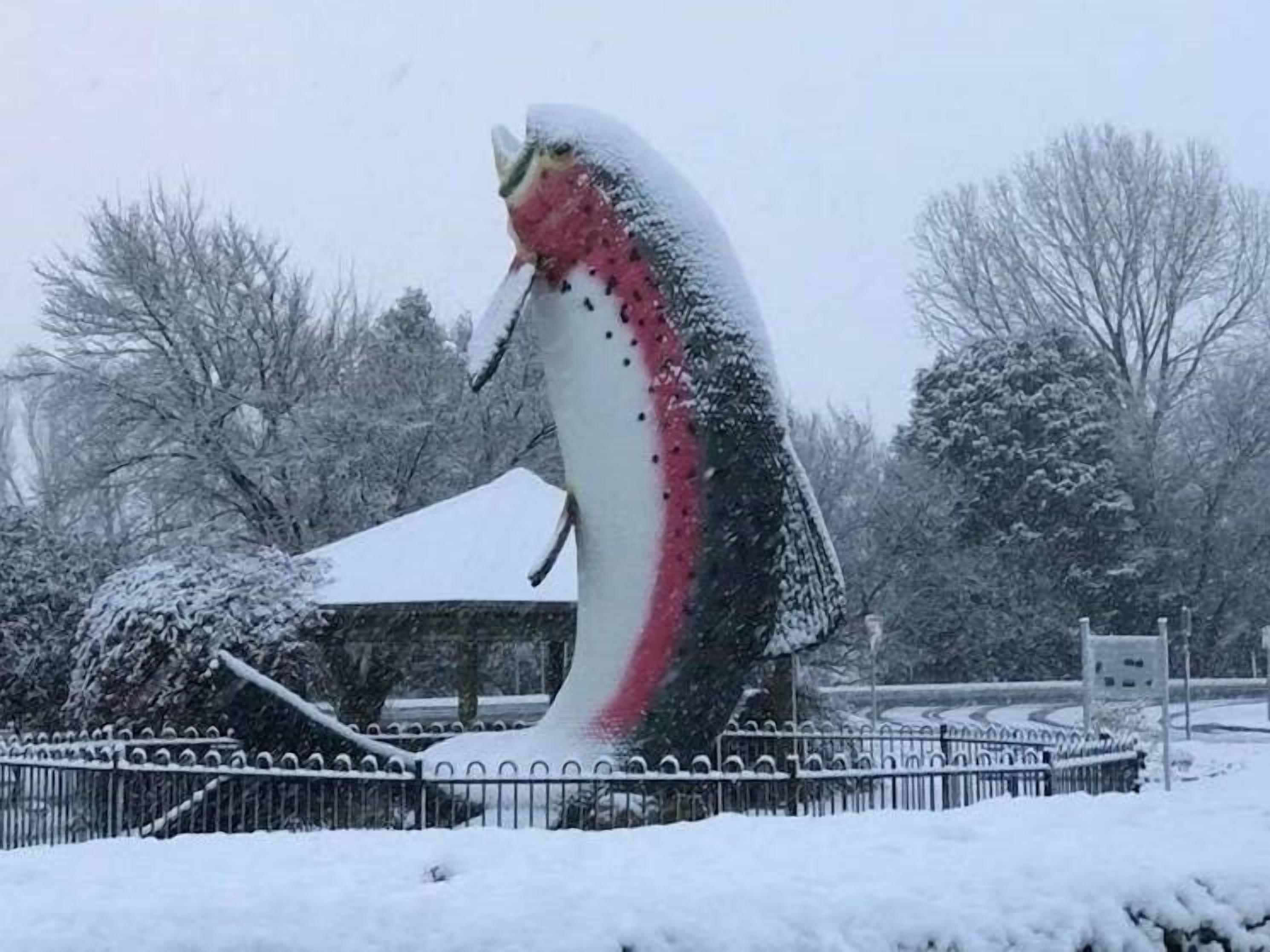 A large, snow-covered sculpture of a fish in a park.