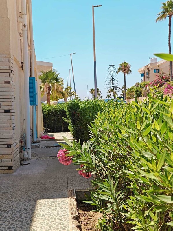 Área da propriedade