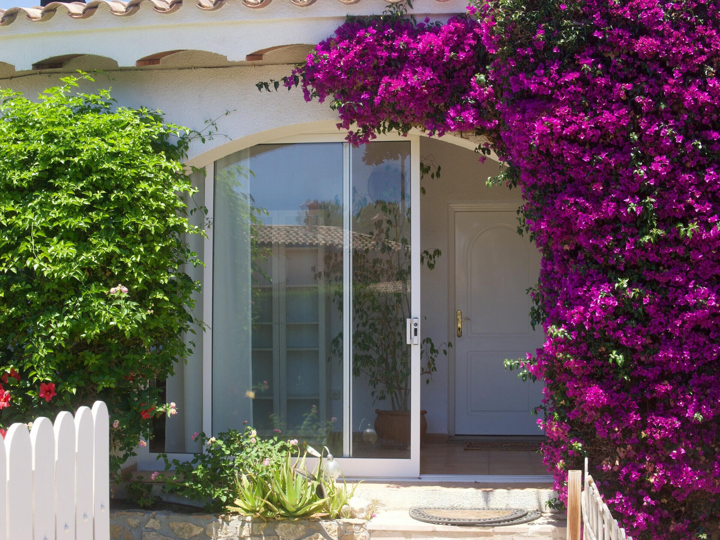 A house with a sliding glass door, a white picket fence, and a garden with purple bougainvillea.