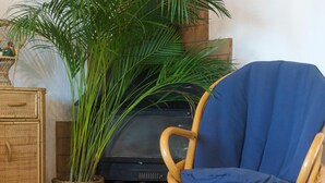Une chaise en osier avec un coussin bleu, un panier tressé et une grande plante verte.