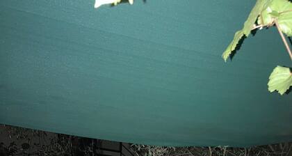 Maison de Vacances Avec Jardin, Barbecue, Jacuzzi