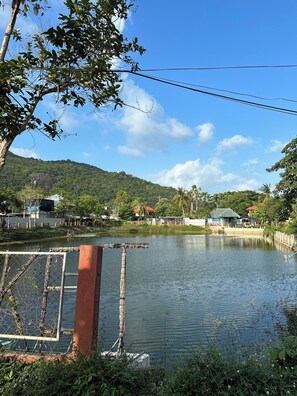 Lake - MBAR HOSTEL HAAD RIN (Ko Pha-ngan)