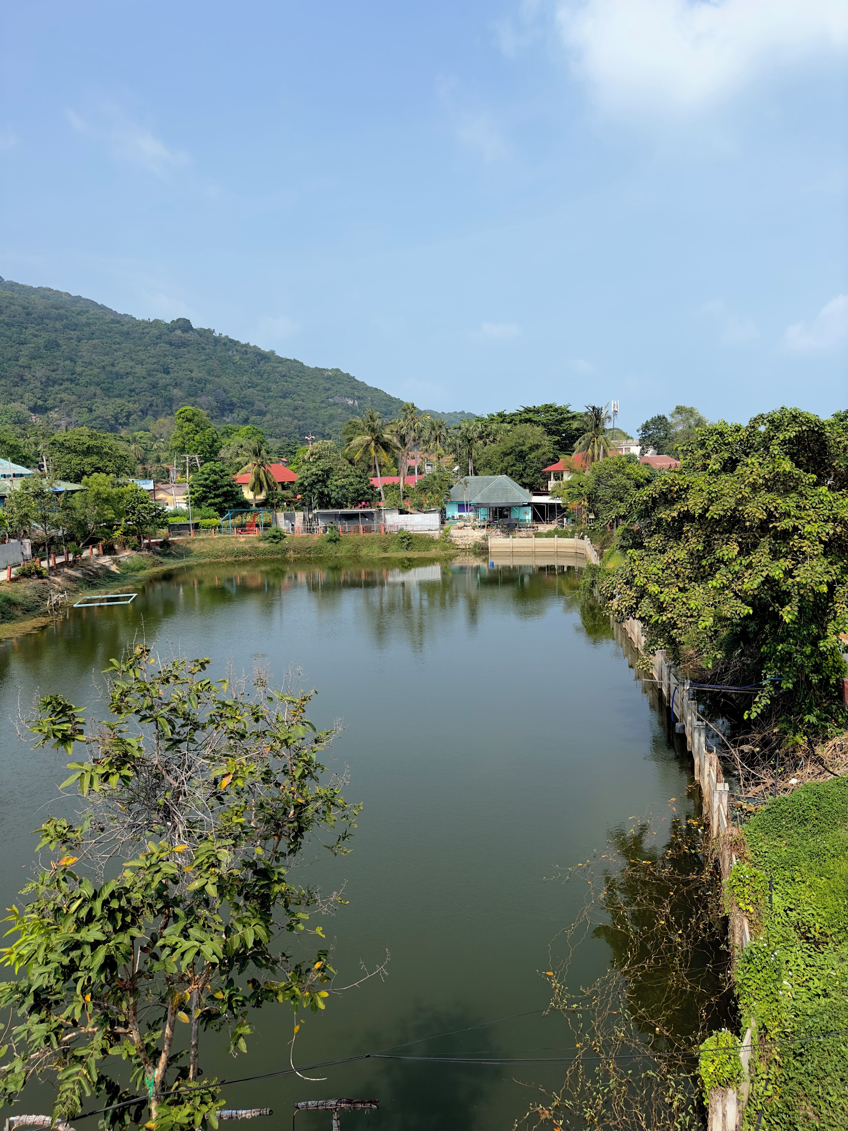 湖景