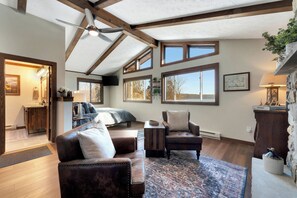 Smart TV, fireplace, video games, books