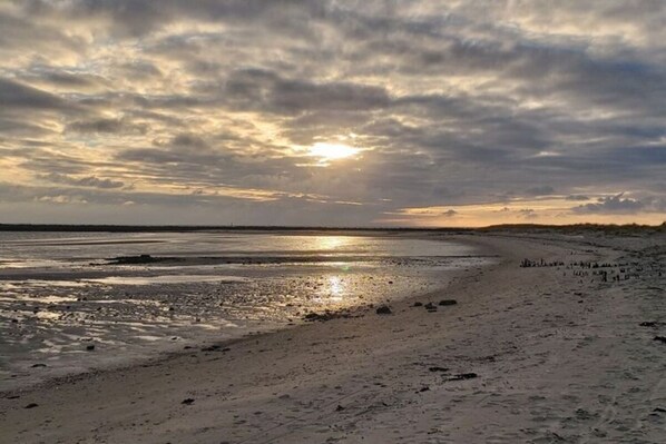 View from property - Holiday Apartment South Beach (Borkum)