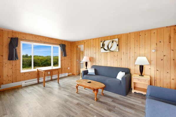 TV, fireplace - Your Face in the Sun & Toes in the Sand. Perfect. (Ocean Shores)